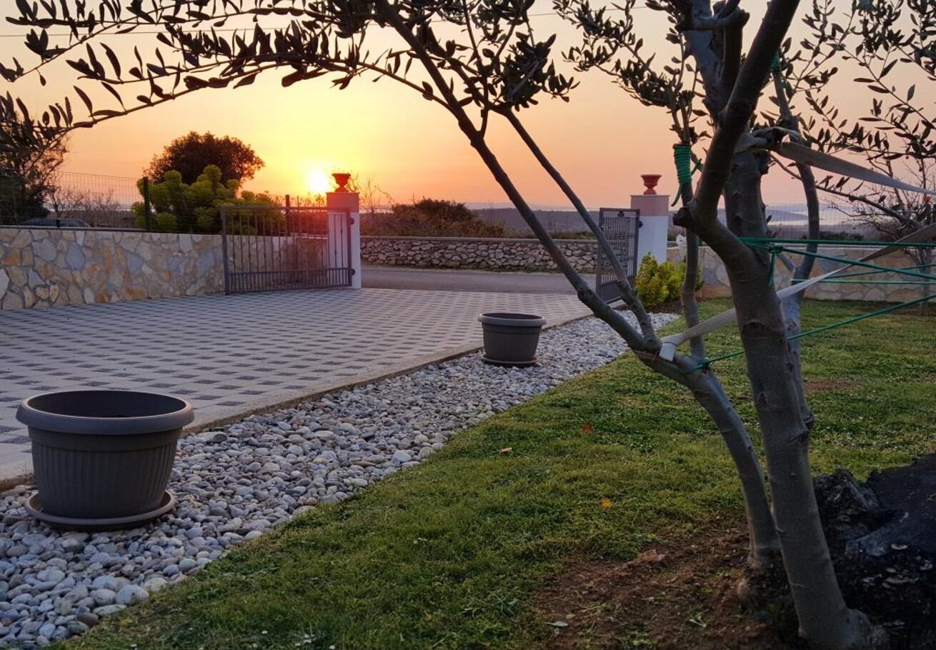 Photo of Apartment Sime