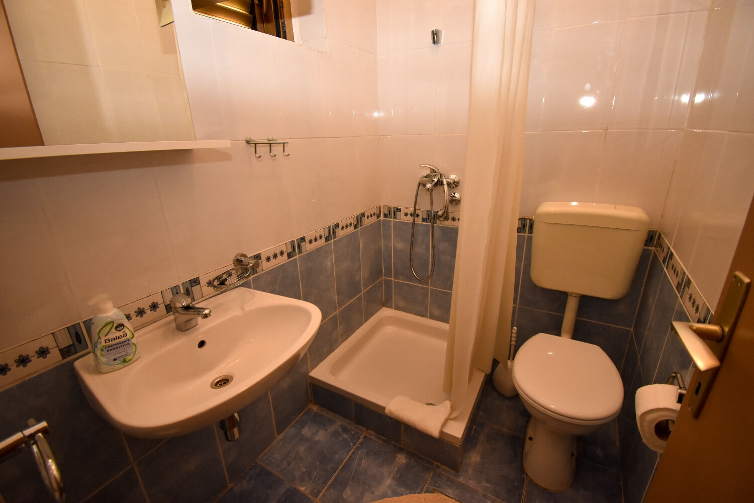 Apartments and Rooms Frane 11017-A1