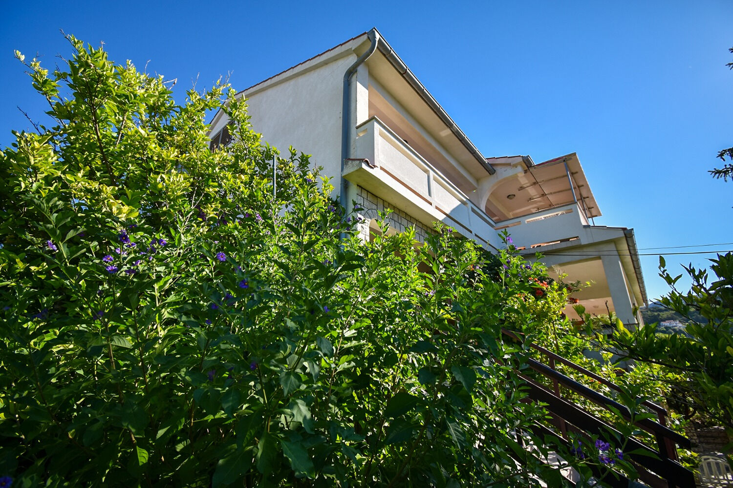 Apartments and Rooms Frane 11017-A2