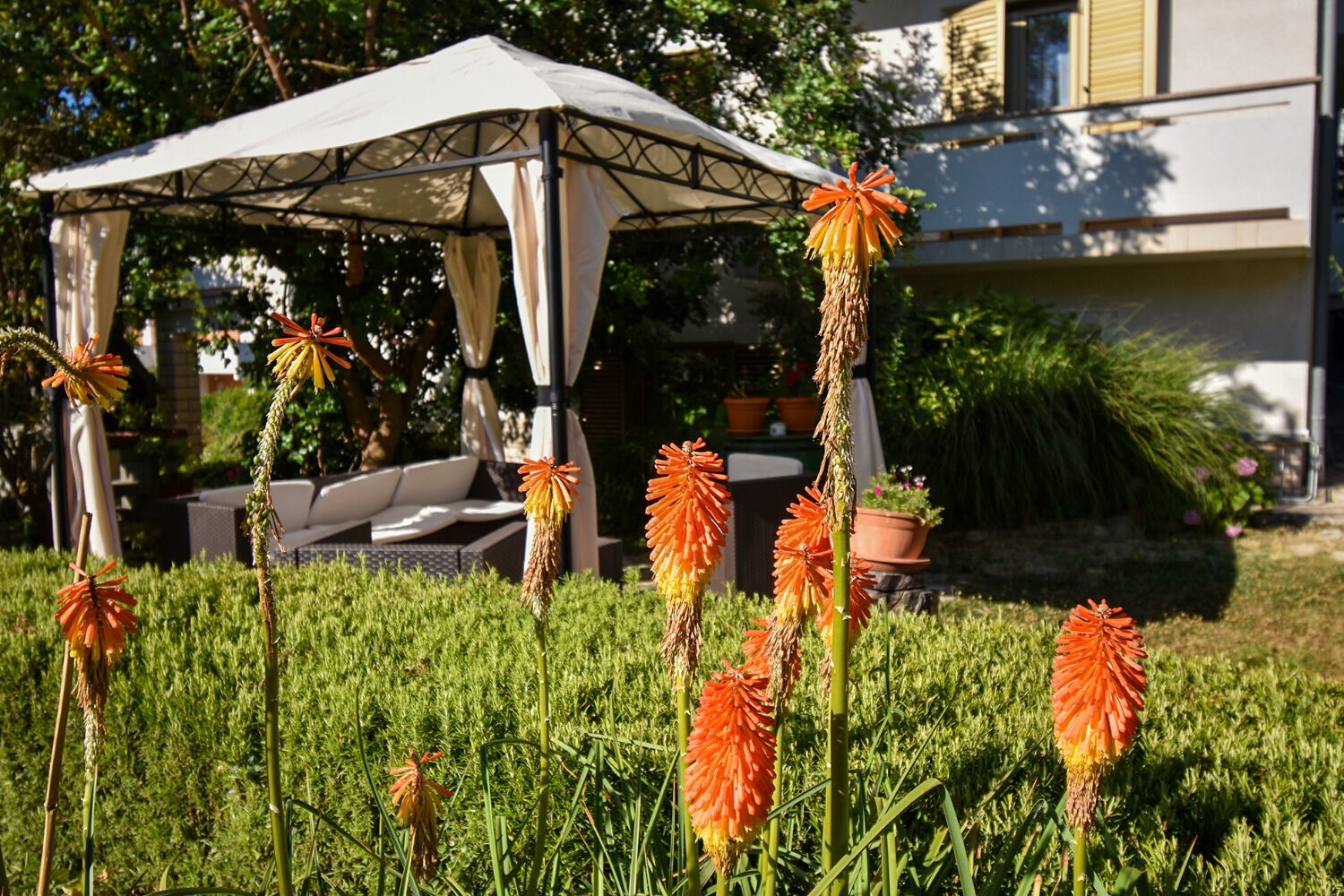 Photo of Apartments and Rooms Frane