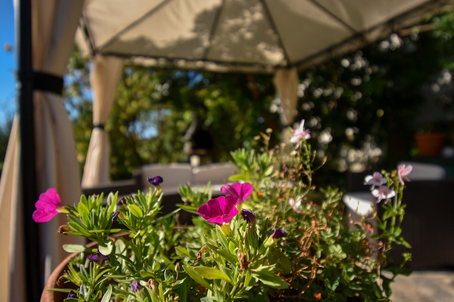 Photo of Apartments and Rooms Frane