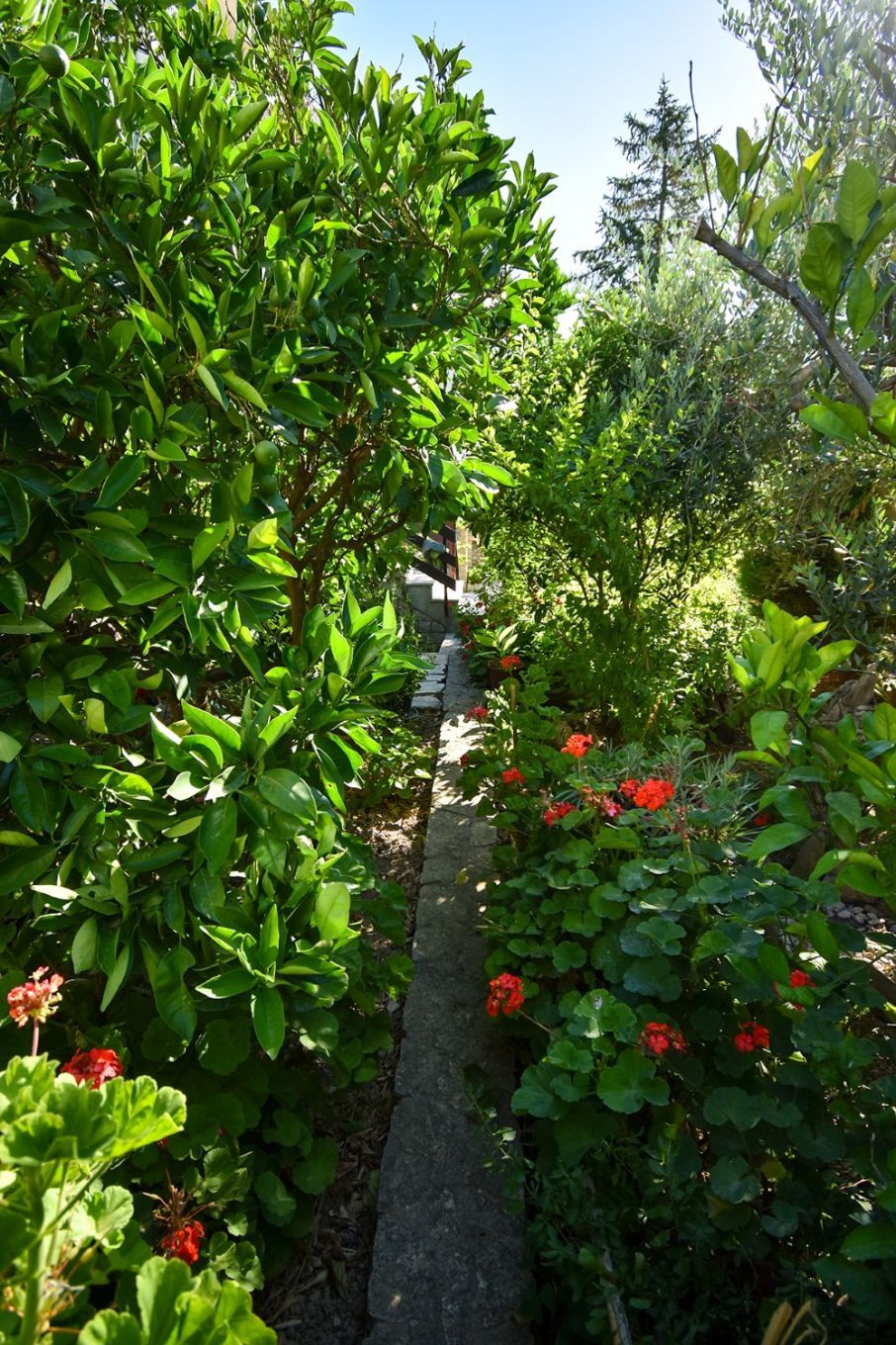 Photo of Apartments and Rooms Frane