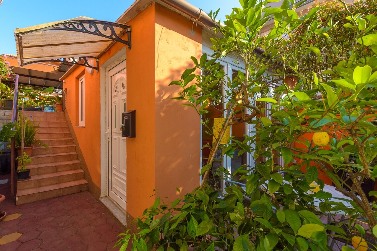 Apartment Orange 11033-A1