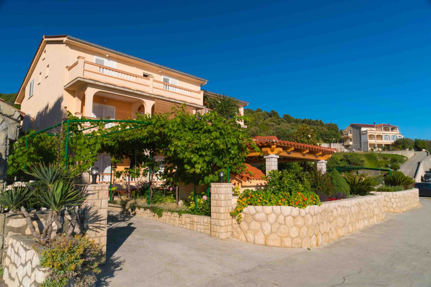 Photo of Apartments Anka