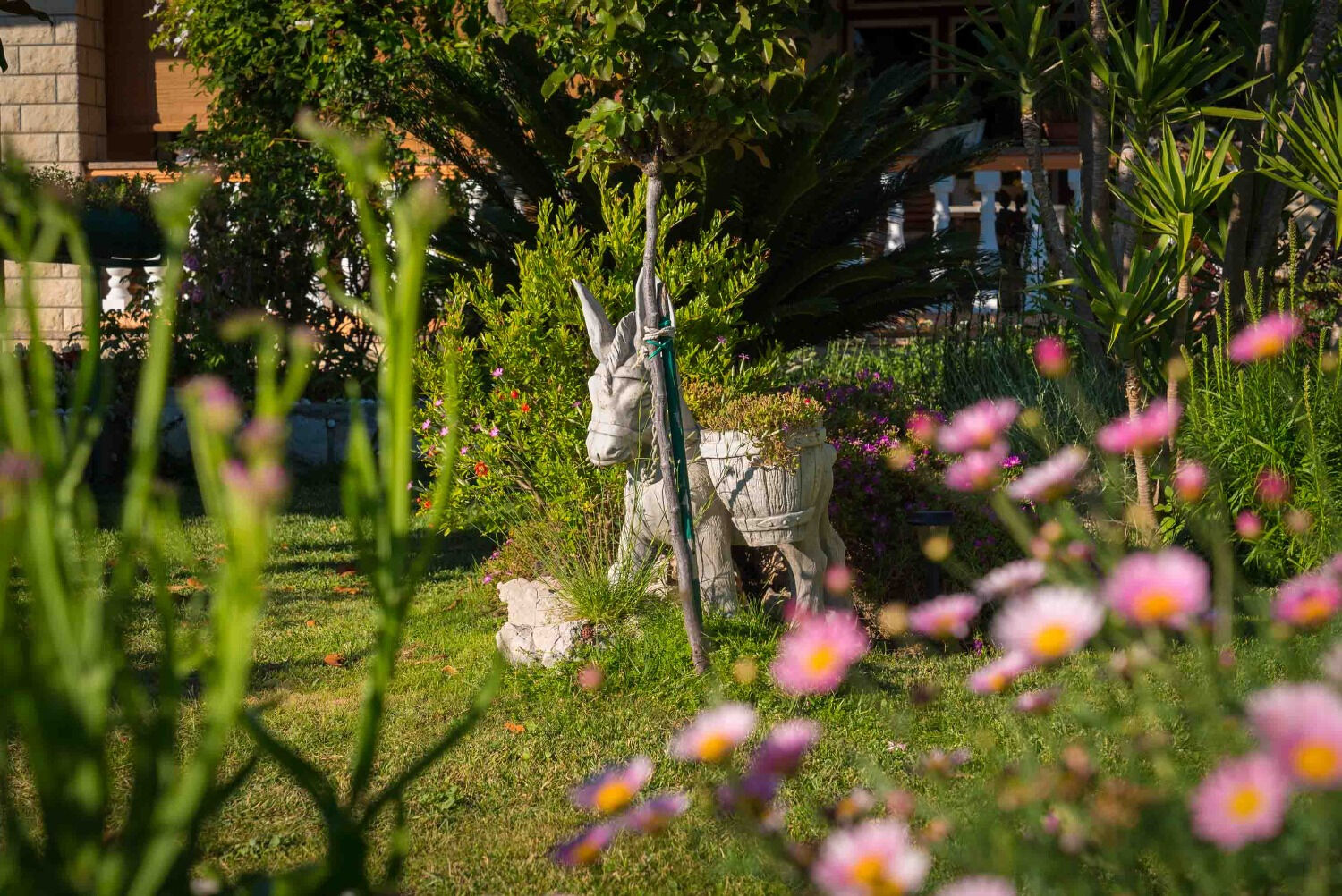 Photo of Apartments Anka