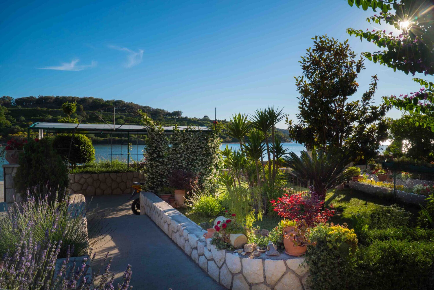 Photo of Apartments Anka