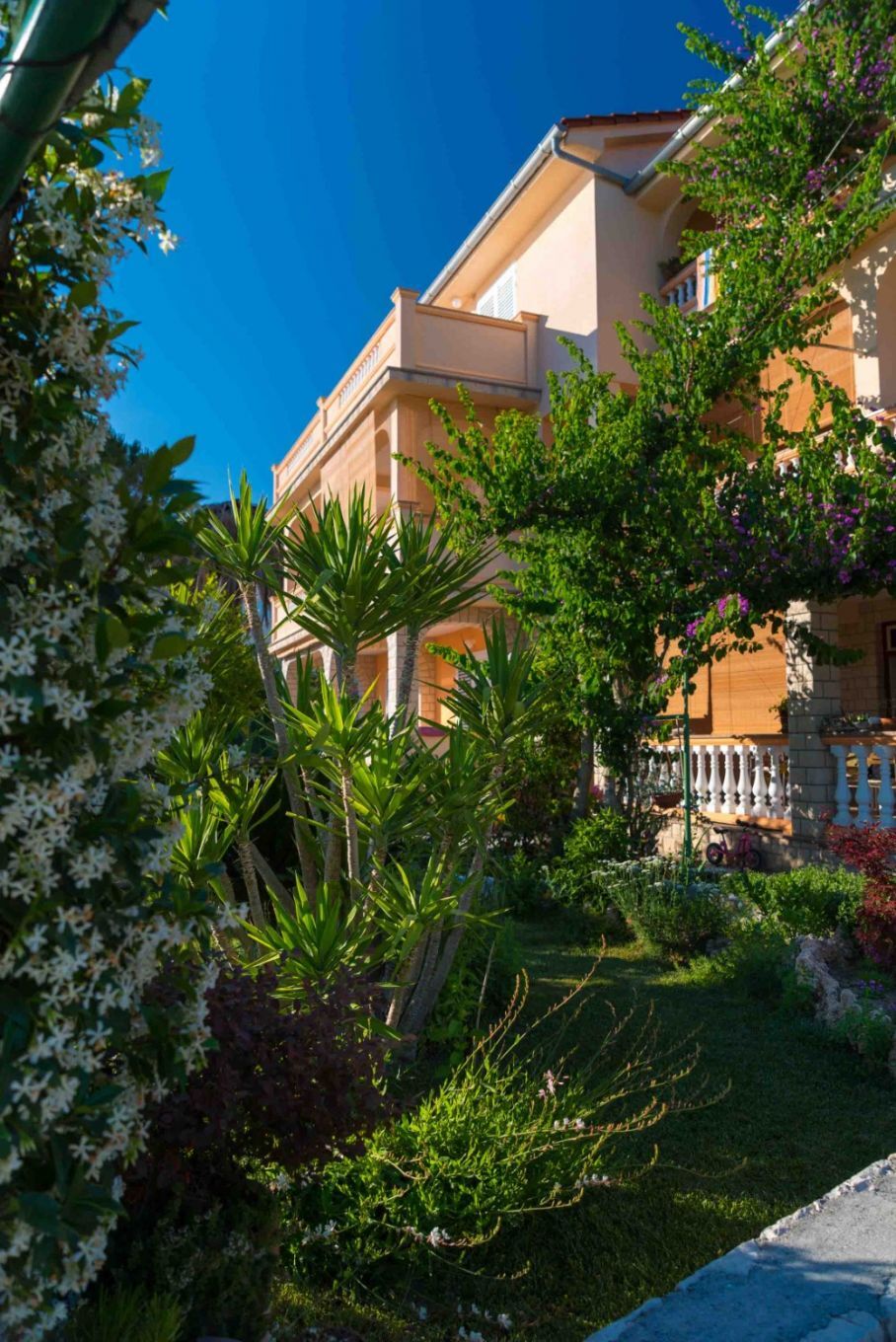 Photo of Apartments Anka