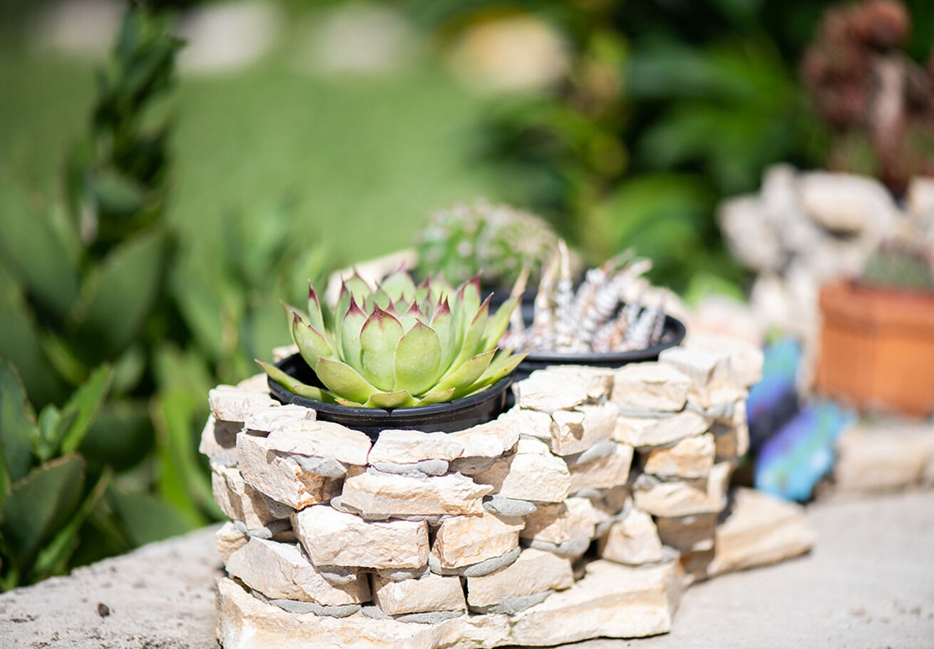 Photo of Apartment Mira