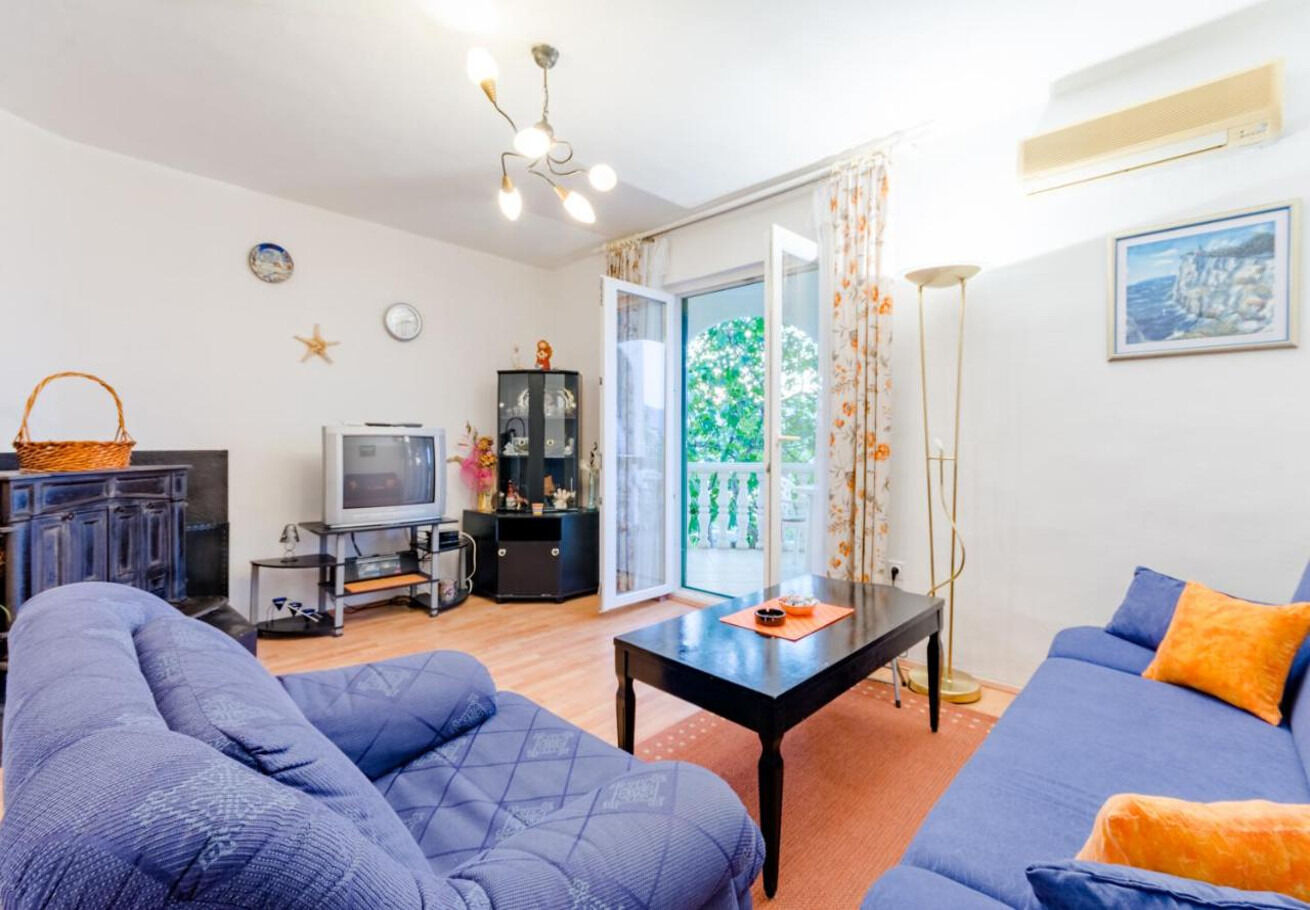 Apartment Ljubo 11055-A1