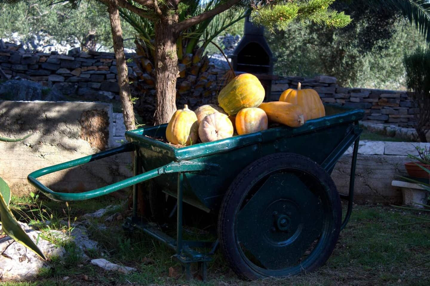 Photo of House Stone&Olive