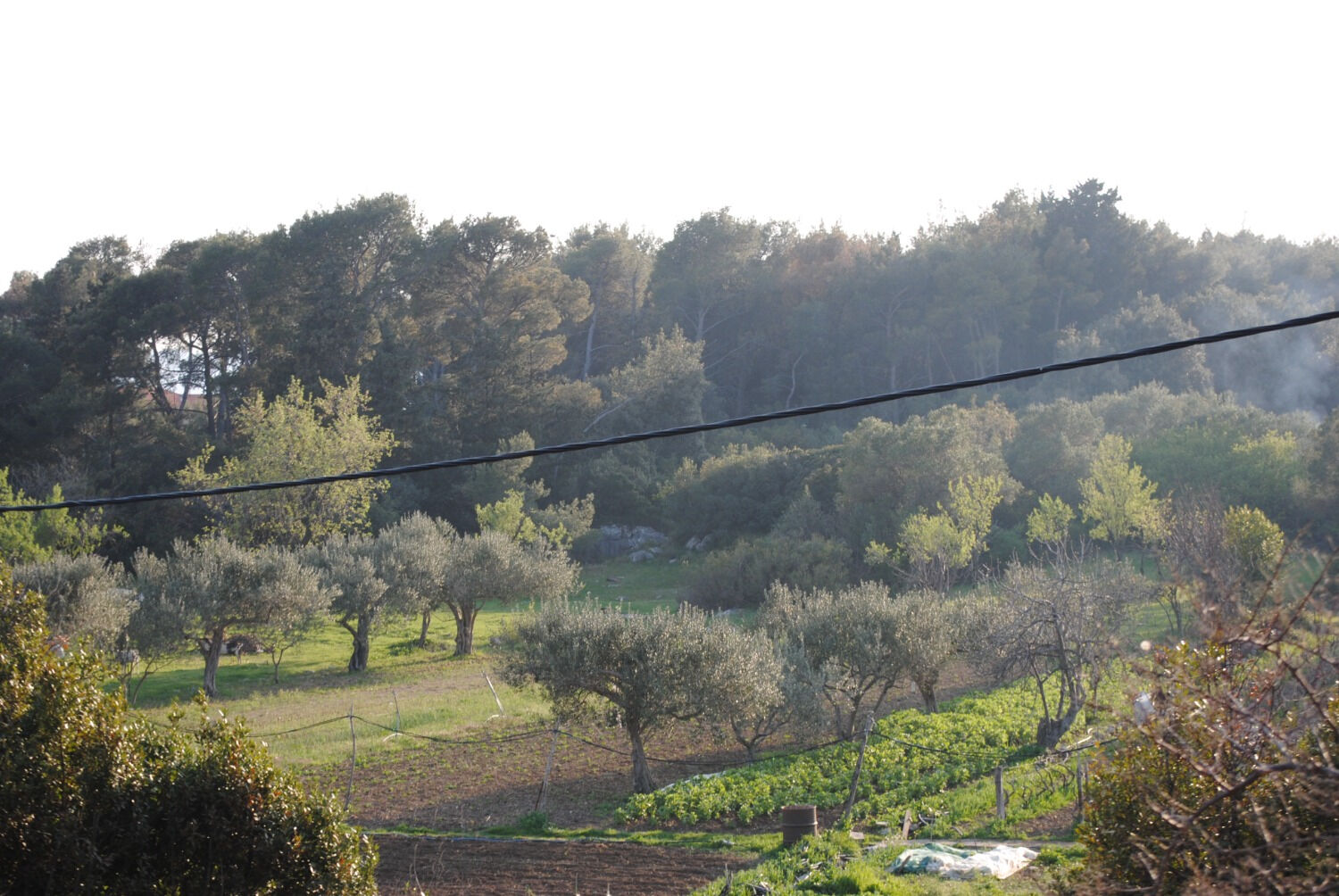 Photo of Apartment Ivanka