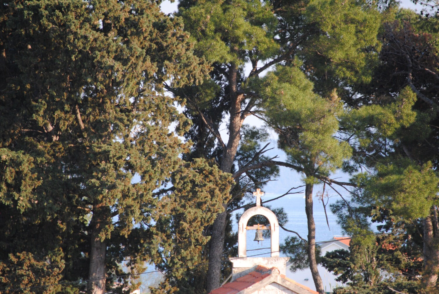 Photo of Apartment Ivanka