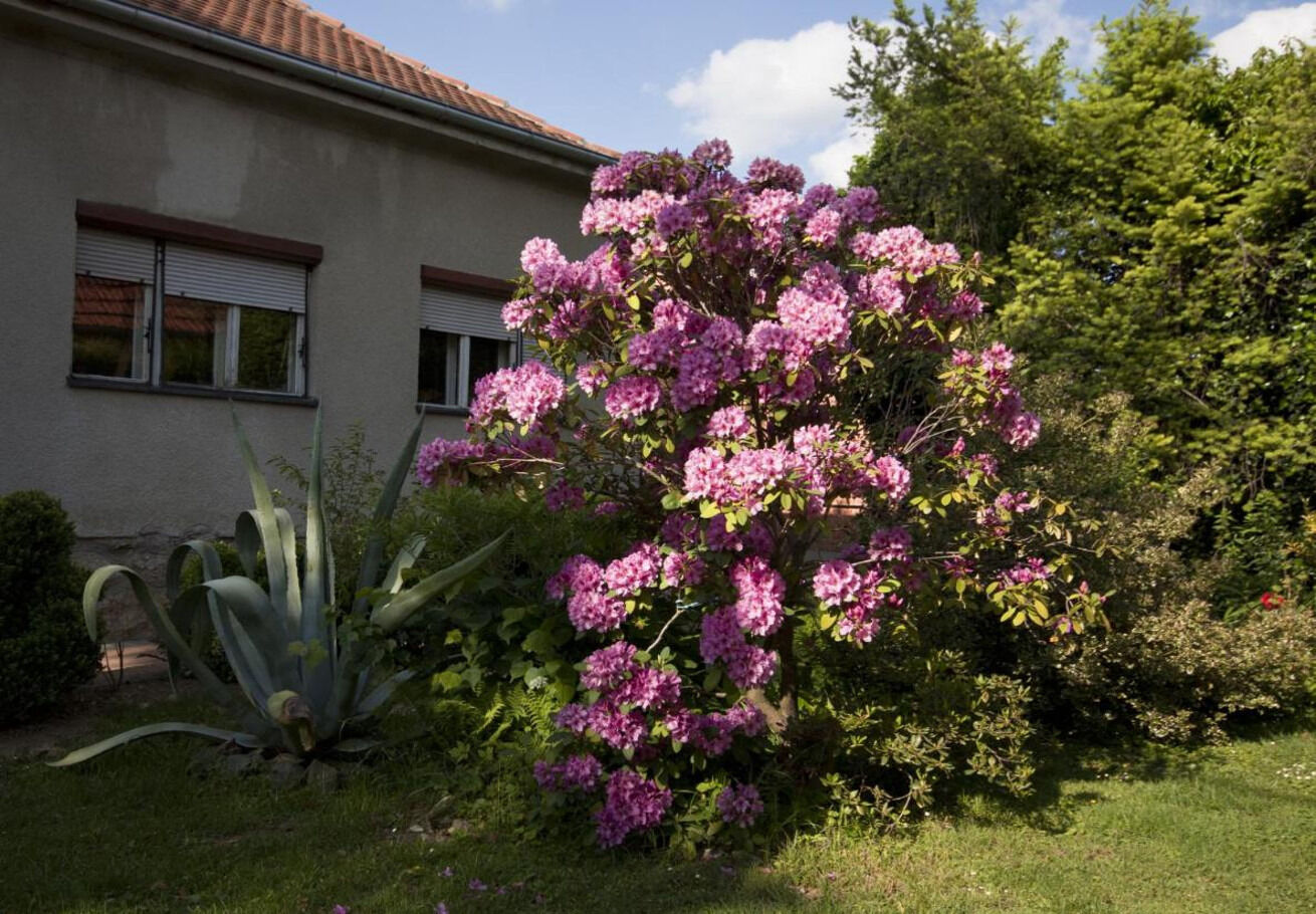 Rooms Branka 110631-S2