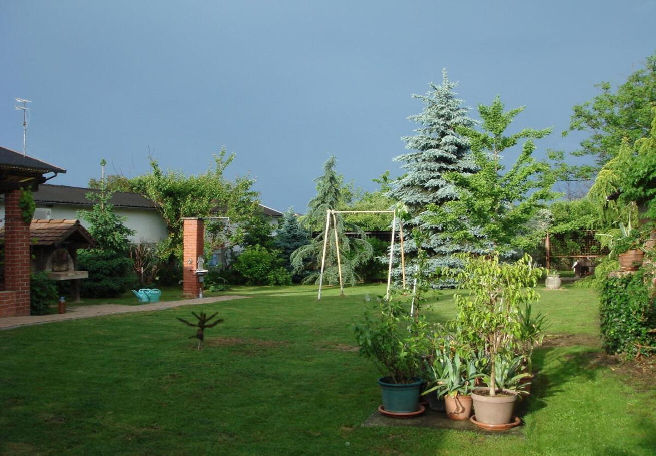 Rooms Branka 110631-S2