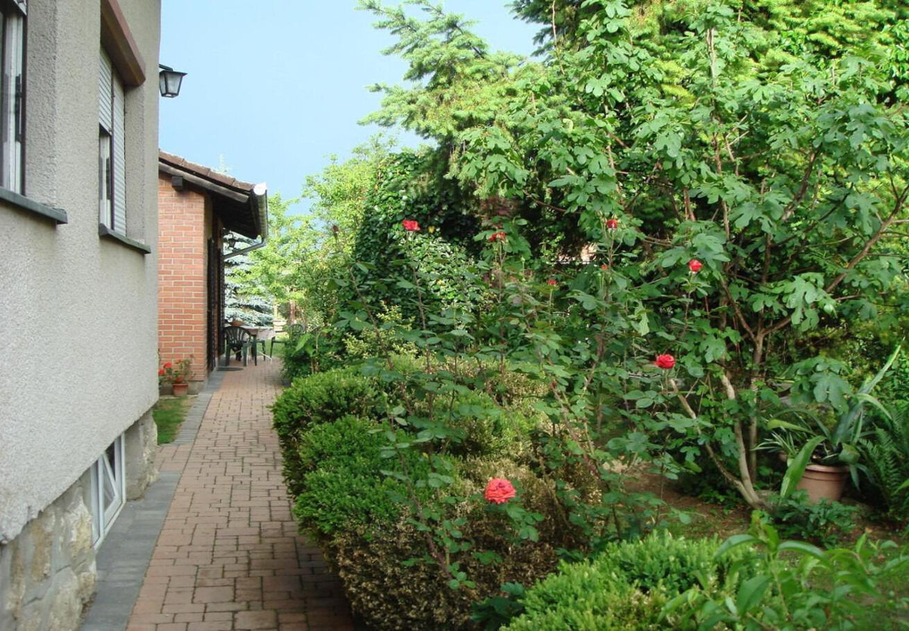 Rooms Branka 110631-S2
