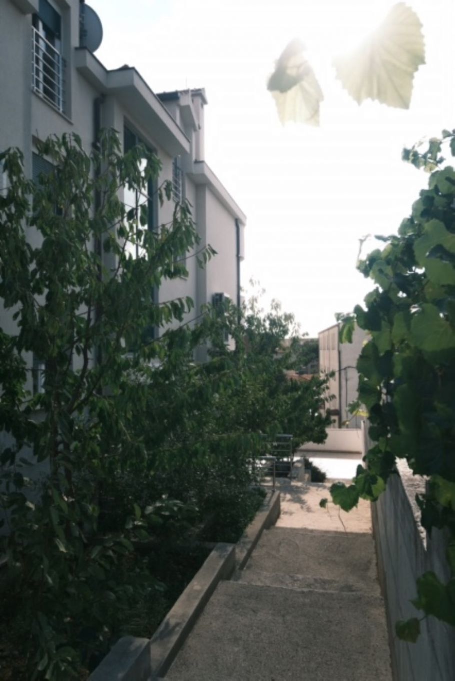 Apartments Miro 110721-A1