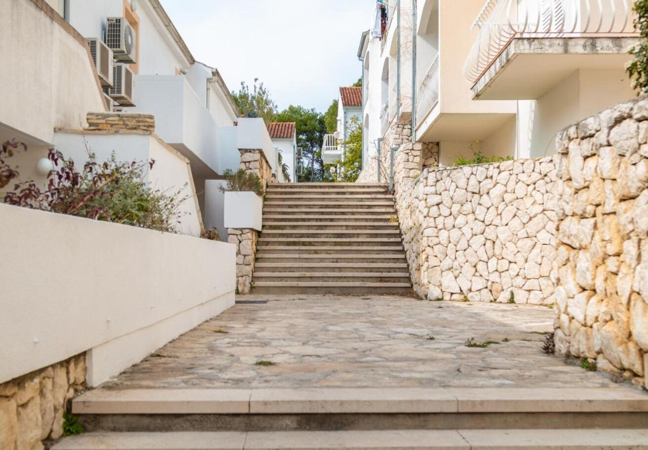 Apartment Branka 11085-A1