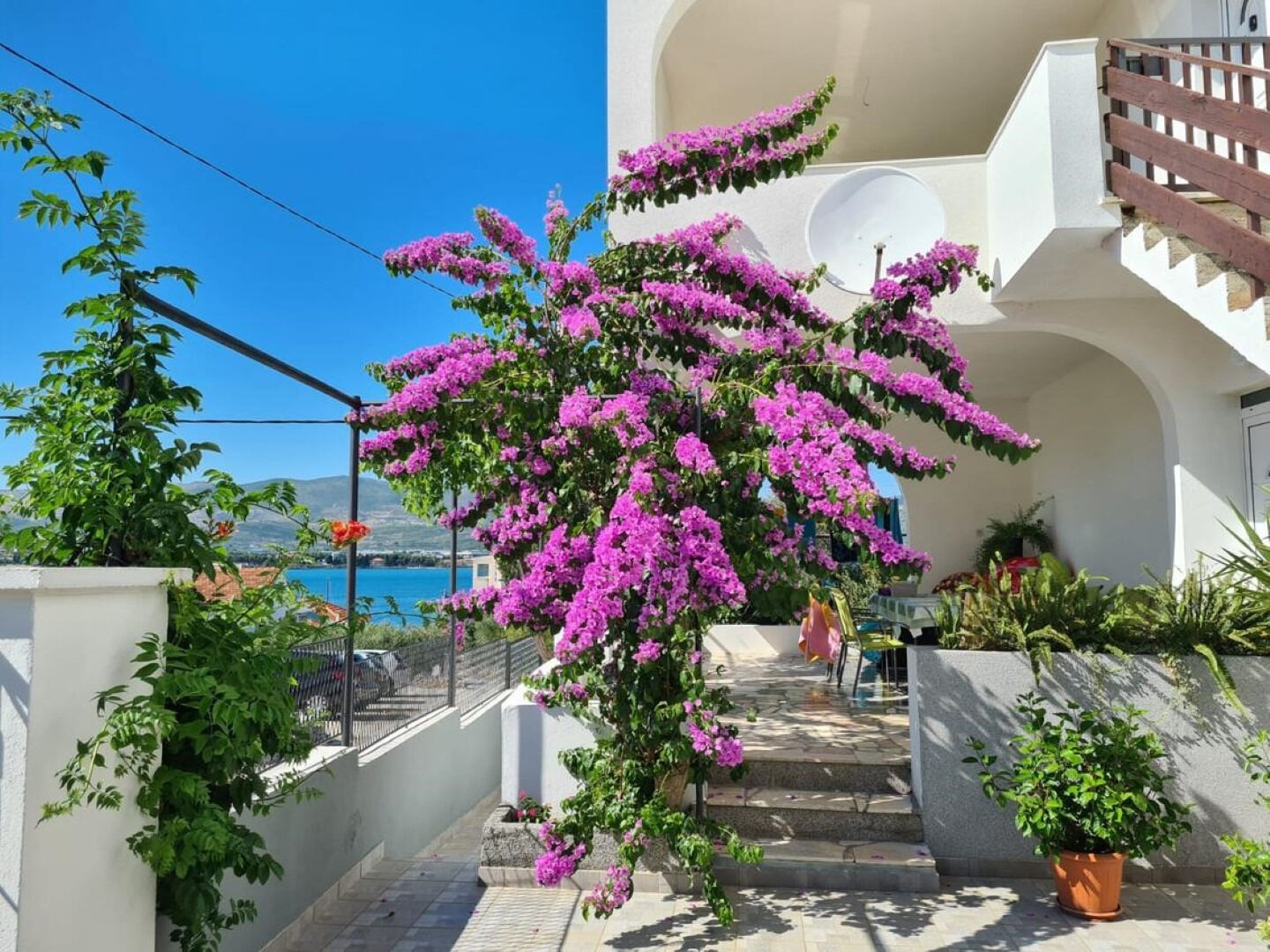 Apartment Lilac 11096-A1
