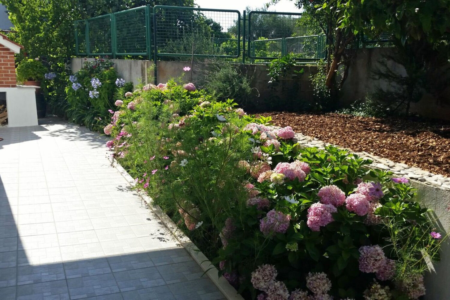 Apartment Lilac 11096-A1