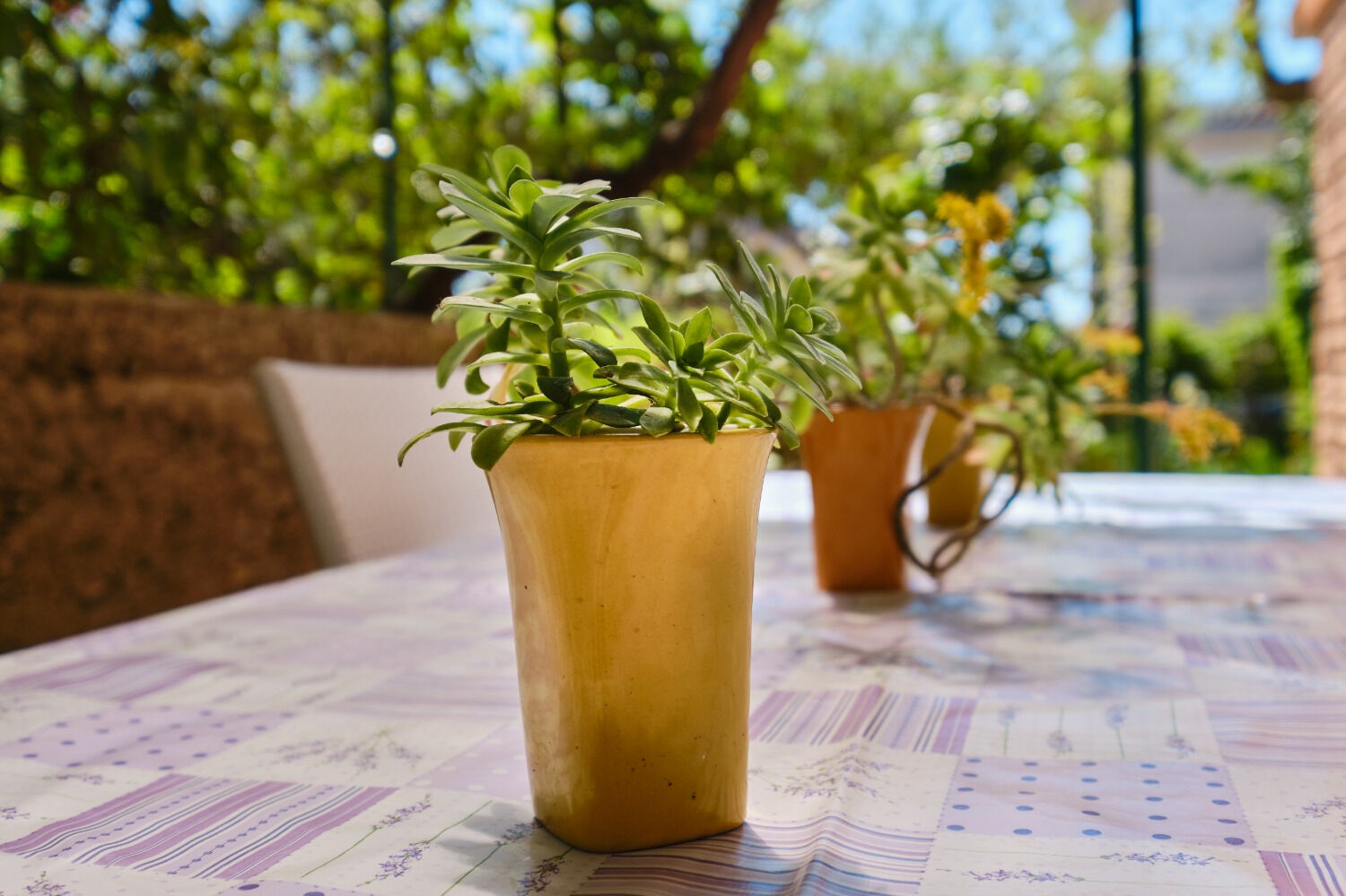 Apartment Giuseppe 11107-A1
