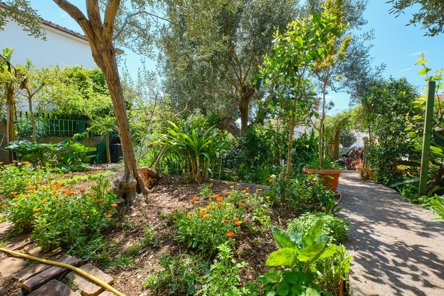 Apartment Giuseppe 11107-A1