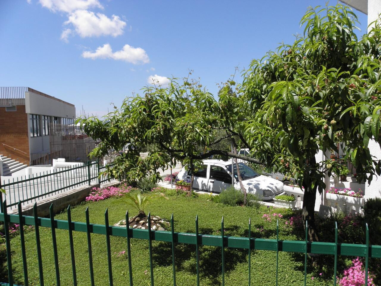 Apartment Mare 1 111041-A1