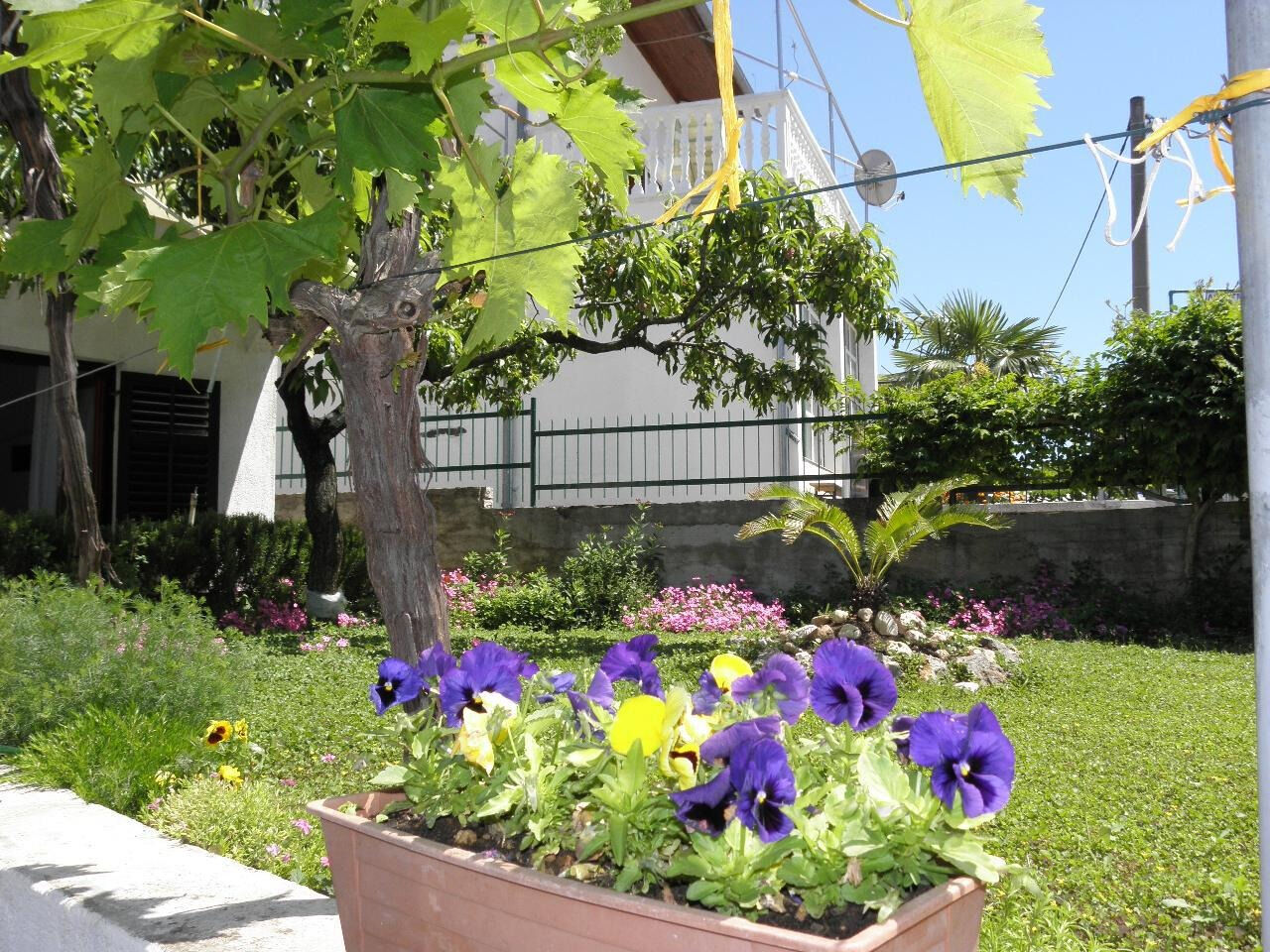 Apartment Mare 1 111041-A1