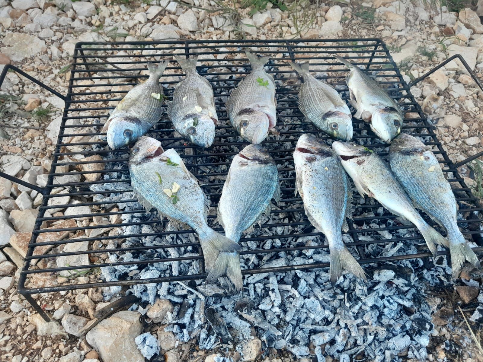 Photo of Apartment Villageway