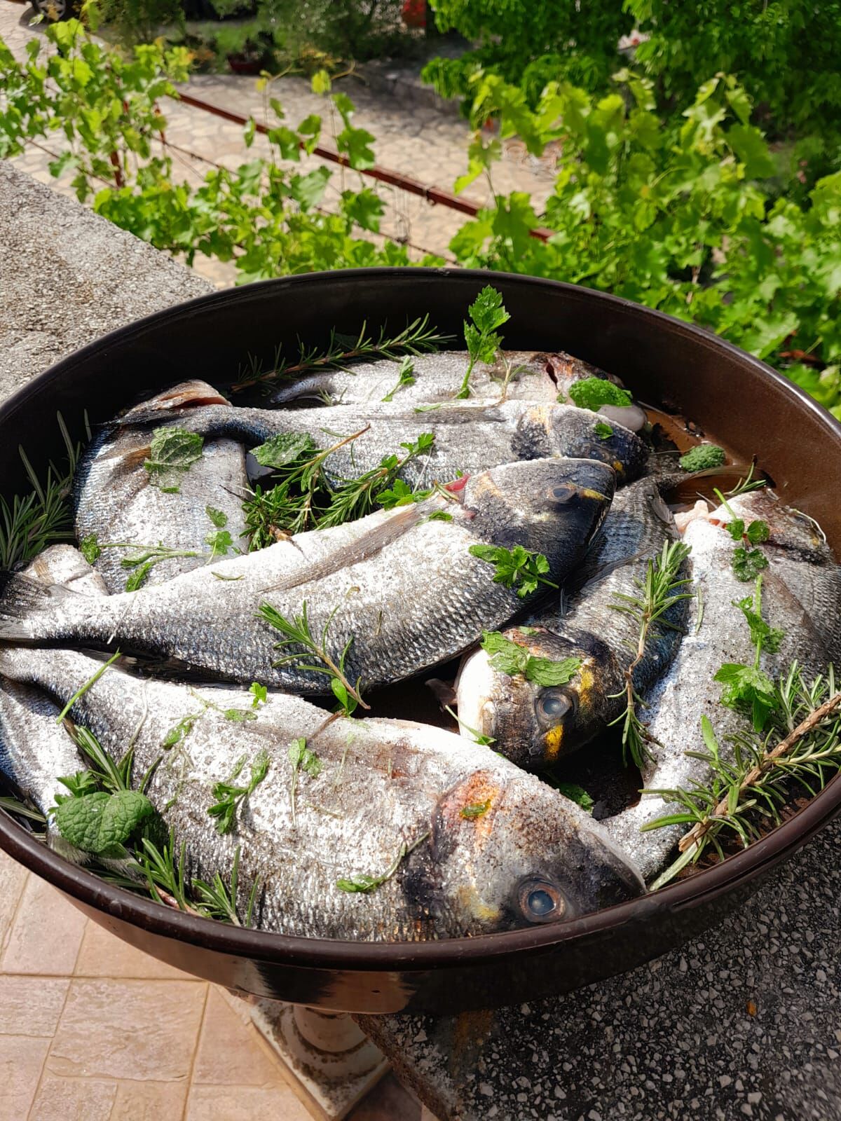 Photo of Apartment Villageway