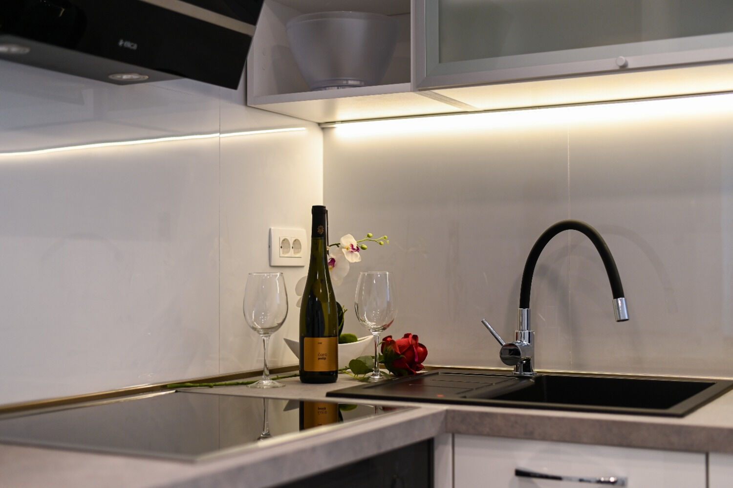 Apartment Sani 111071-A1