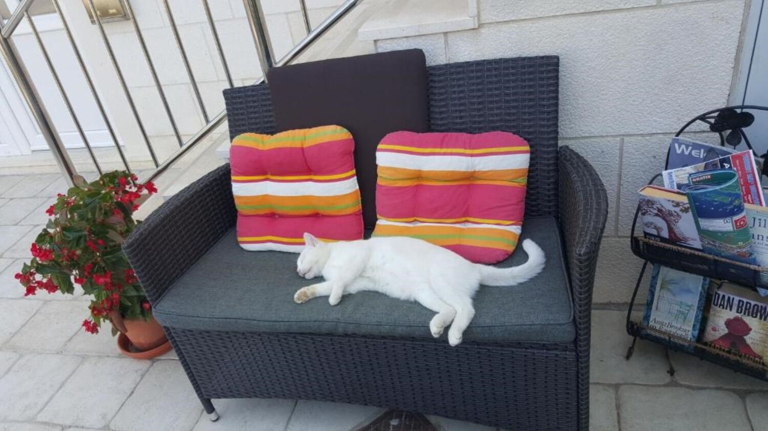 Photo of Apartments Mira