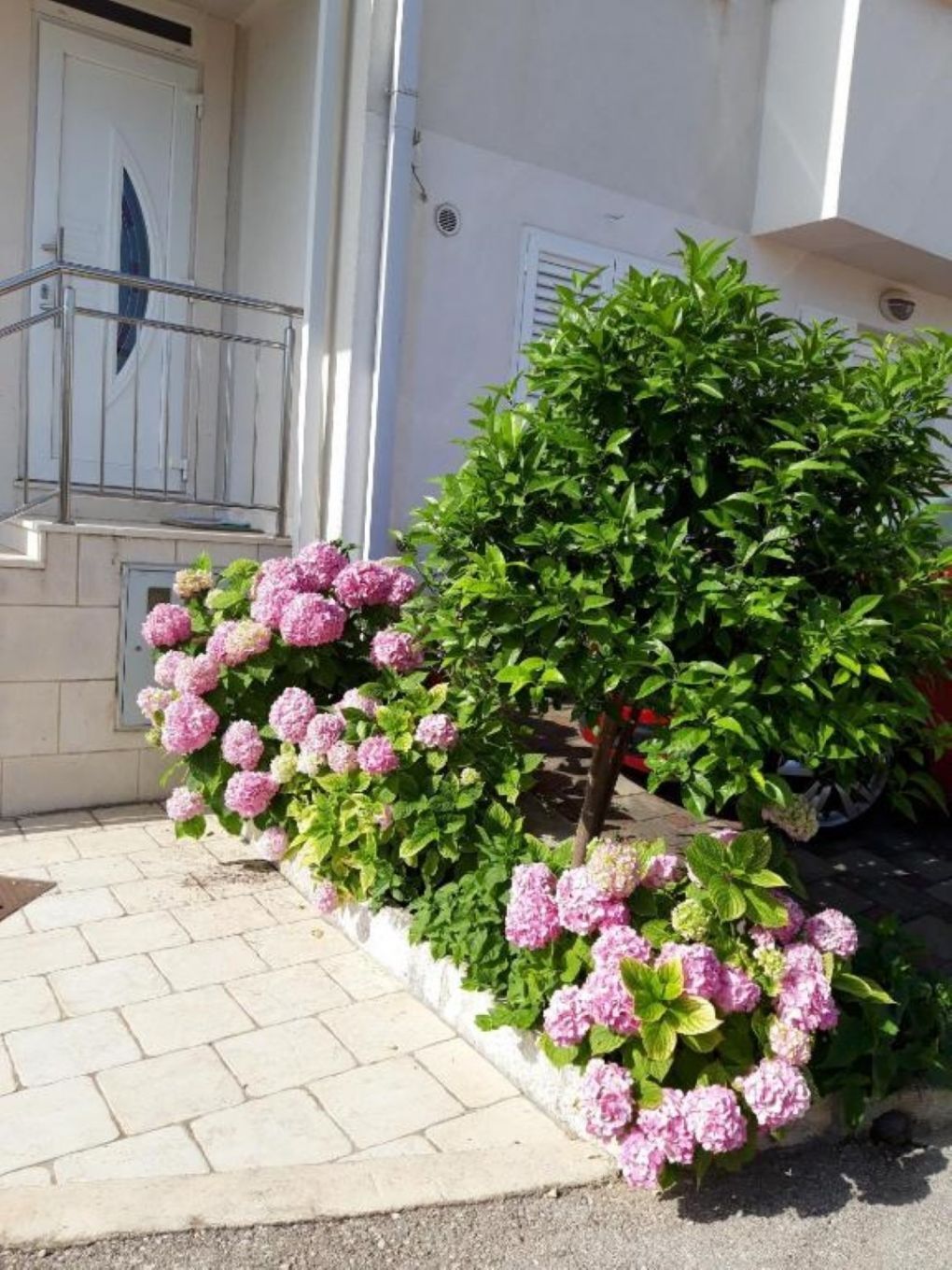 Photo of Apartments Mira