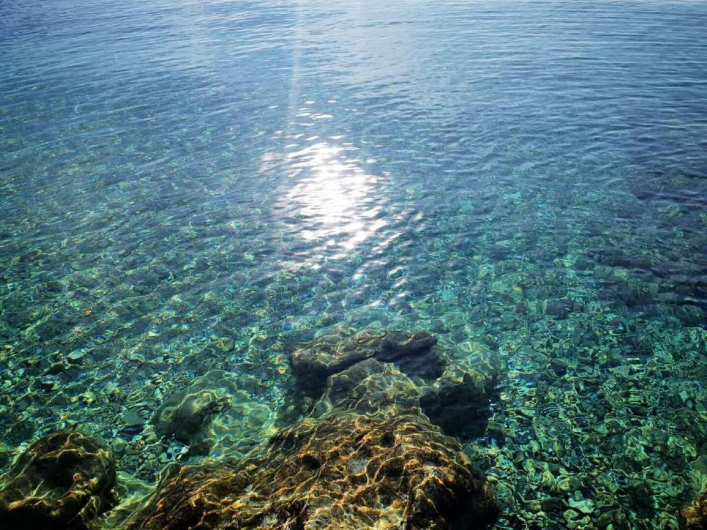 Photo of Apartments Mira