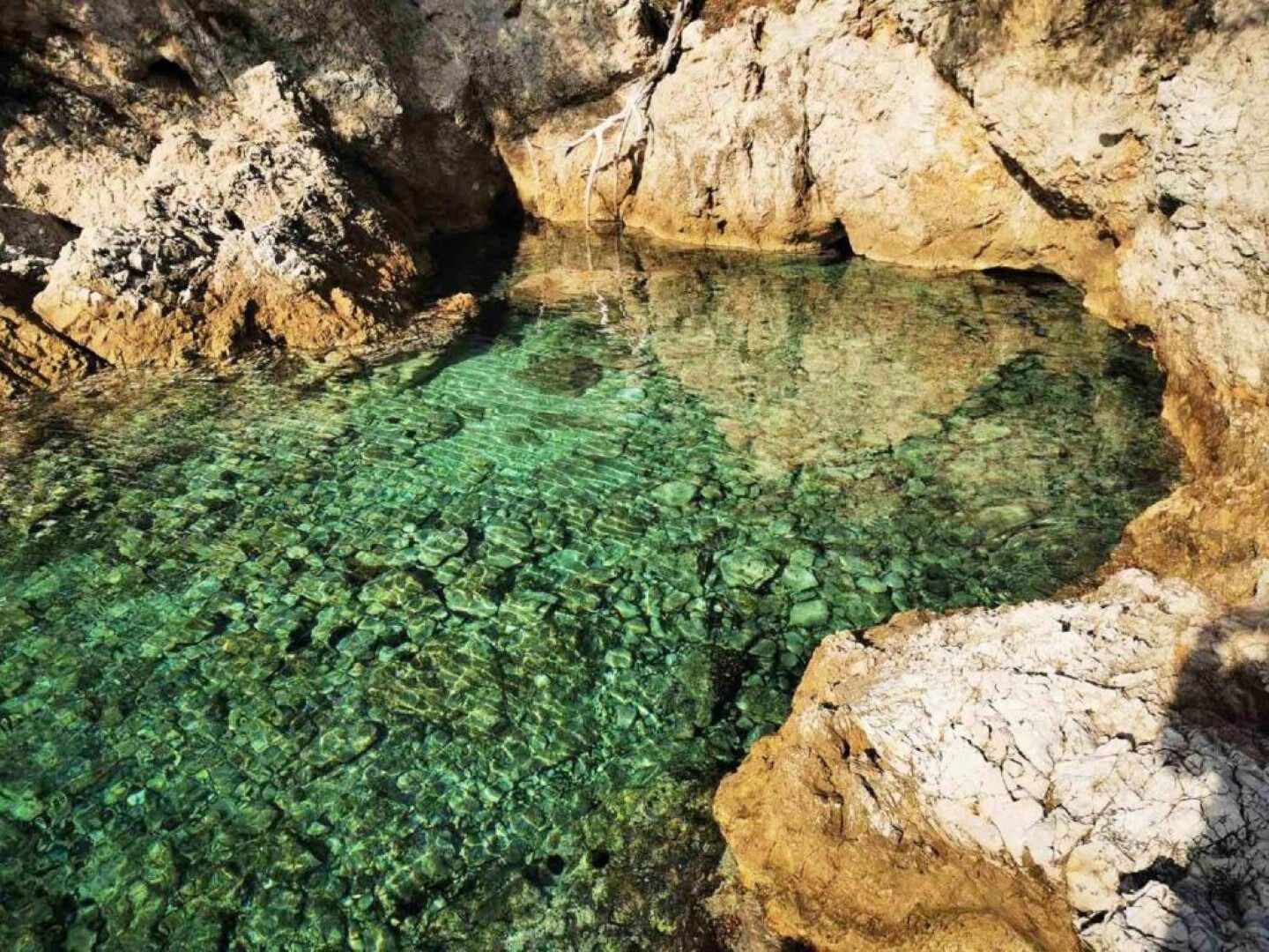 Photo of Apartments Mira