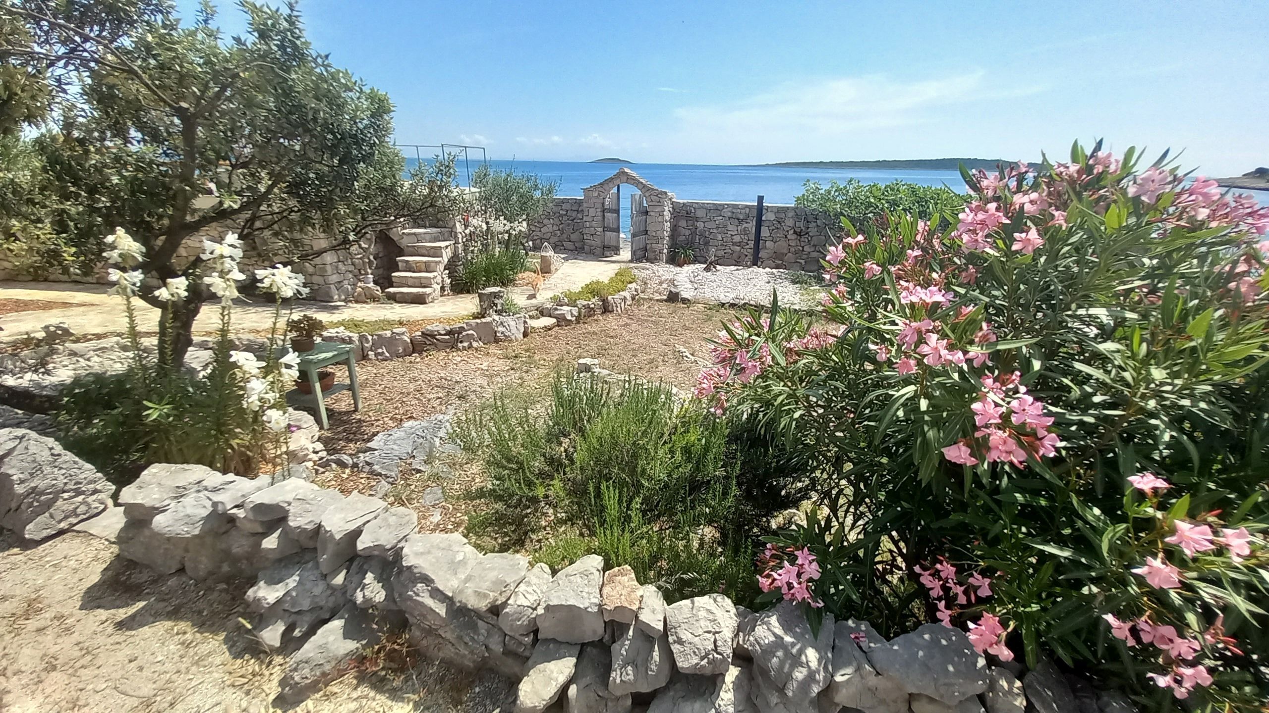 House Robinson Tiziana 111141-K1