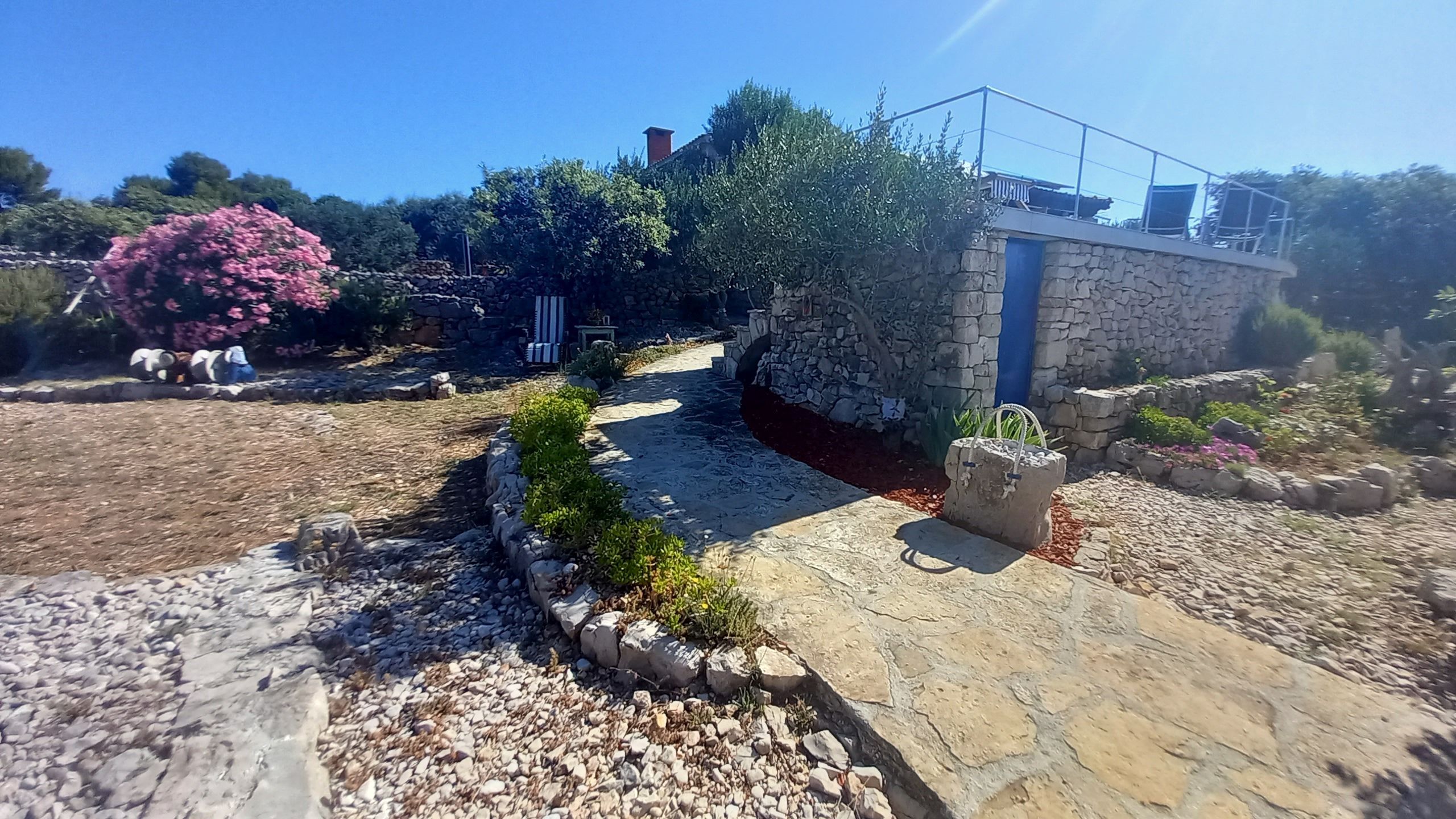 House Robinson Tiziana 111141-K1