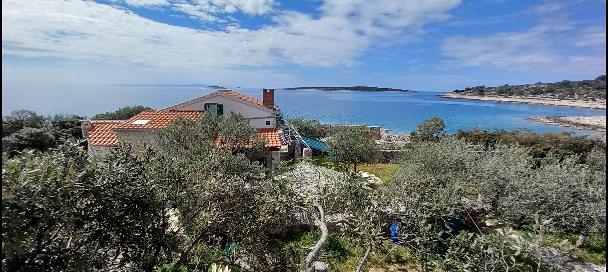 House Robinson Tiziana 111141-K1