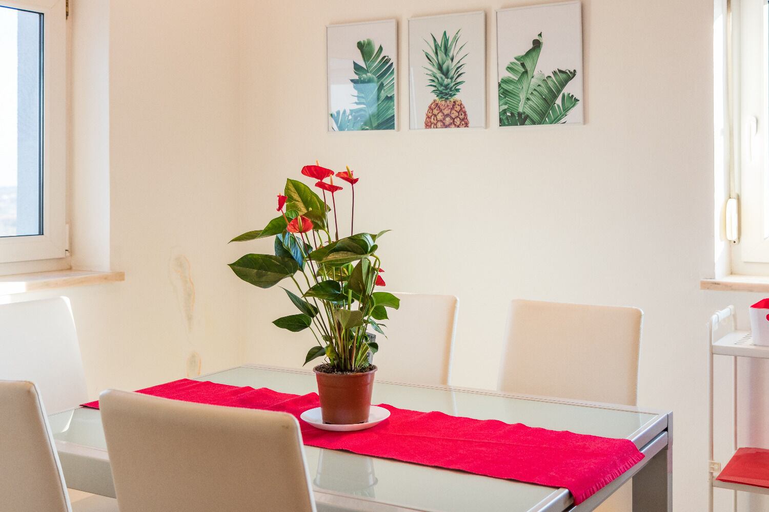 Apartment Robi 1 11119-A1