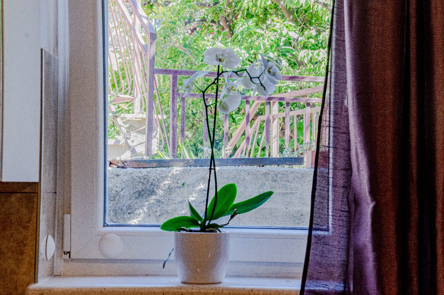 Apartment Mir 105971-A4