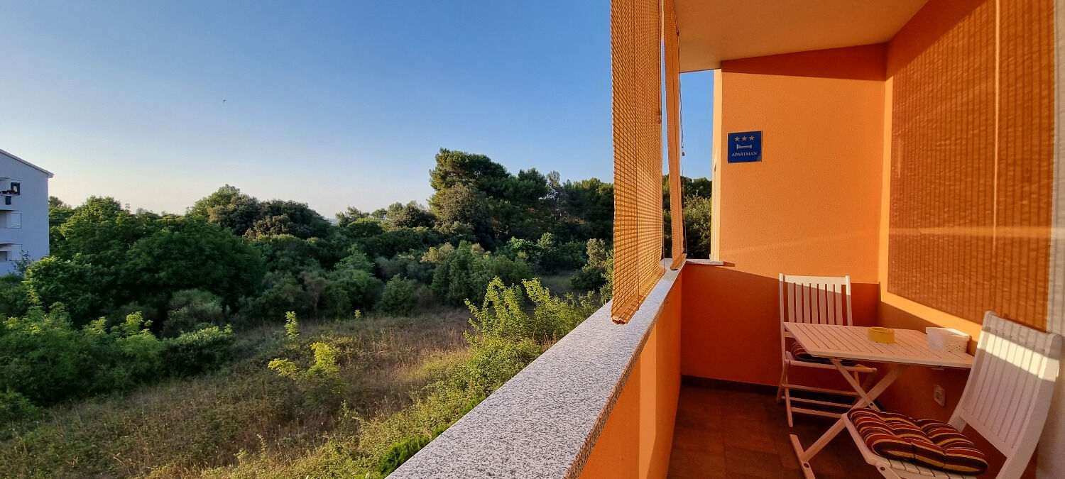 Photo of Apartment Mani