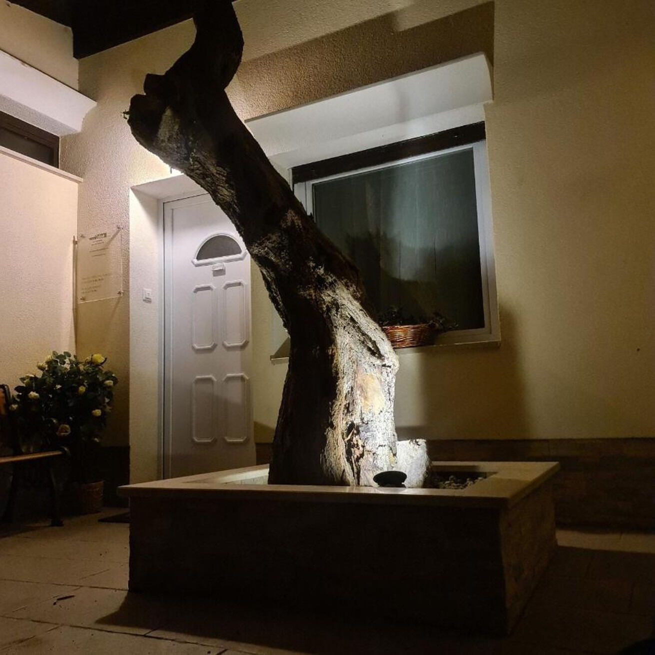 Photo of Apartments VILA TENA