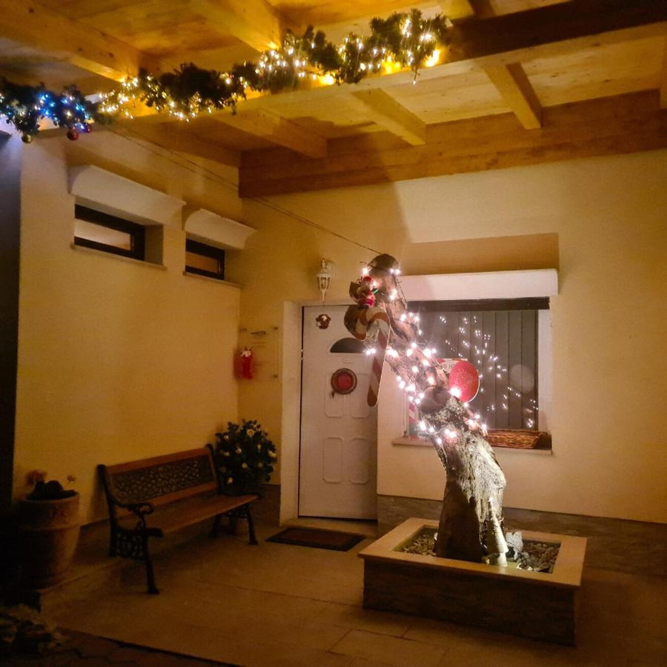 Photo of Apartments VILA TENA