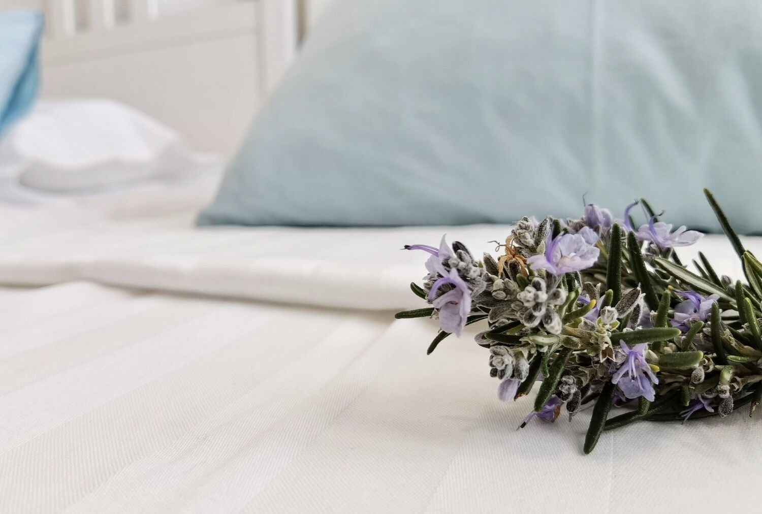 Room Boutique Rooms 111391-S1