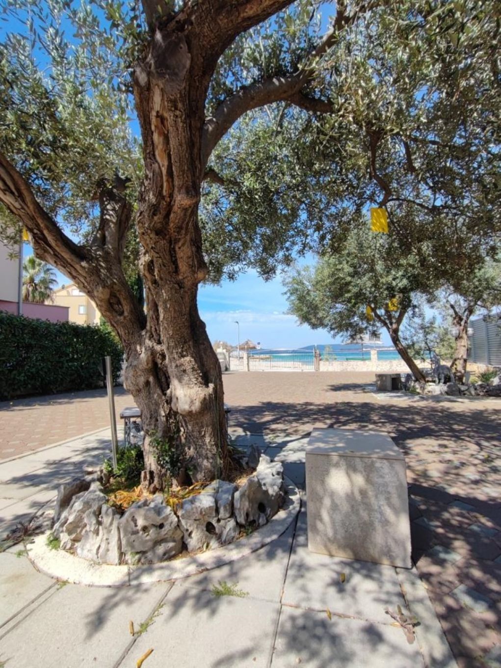 Apartments Bionda 111401-A2