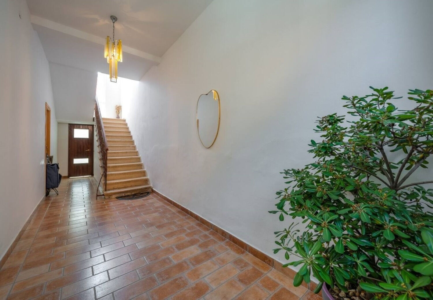 Apartment Ariana 111421-A1
