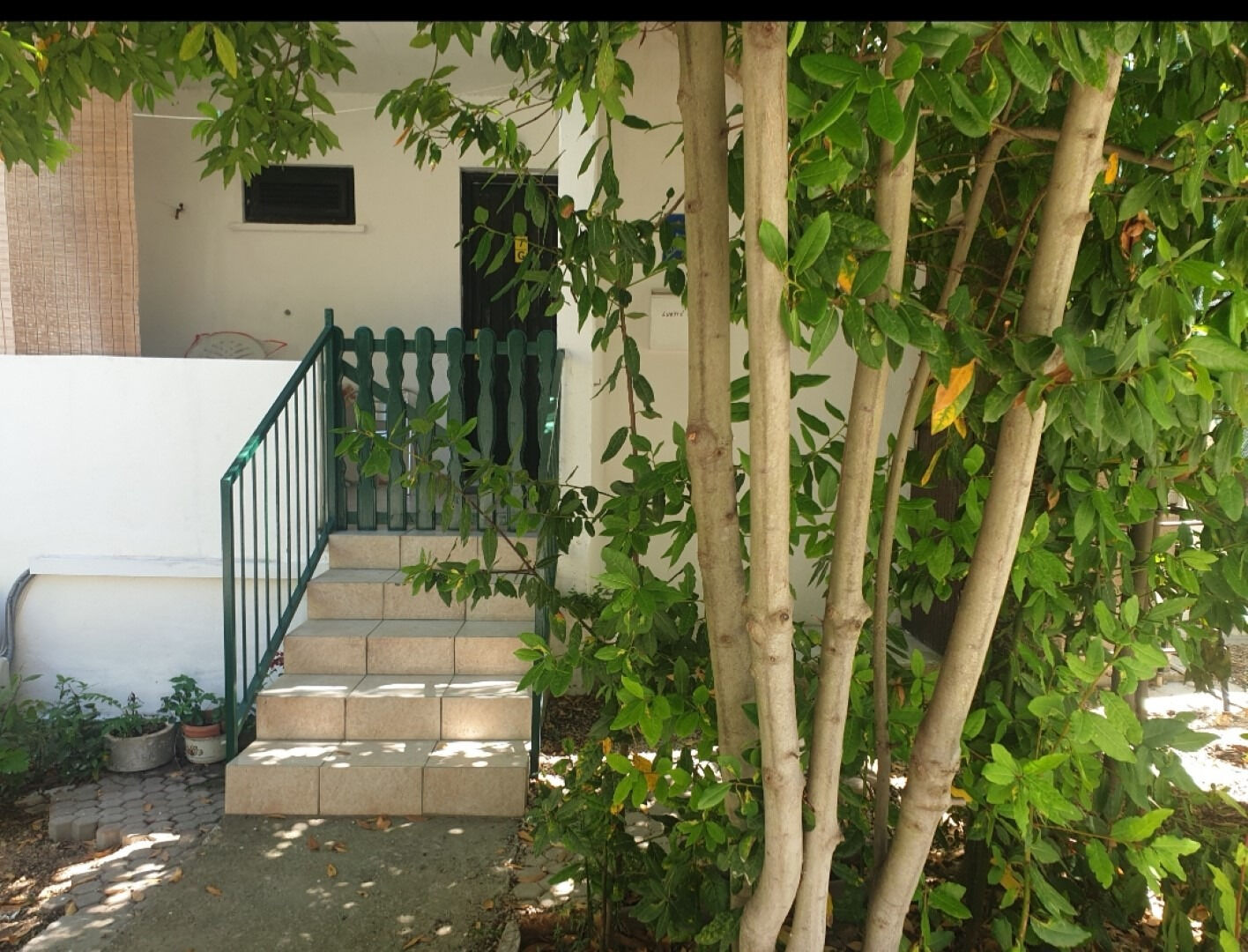 Apartment Darina 111441-A1