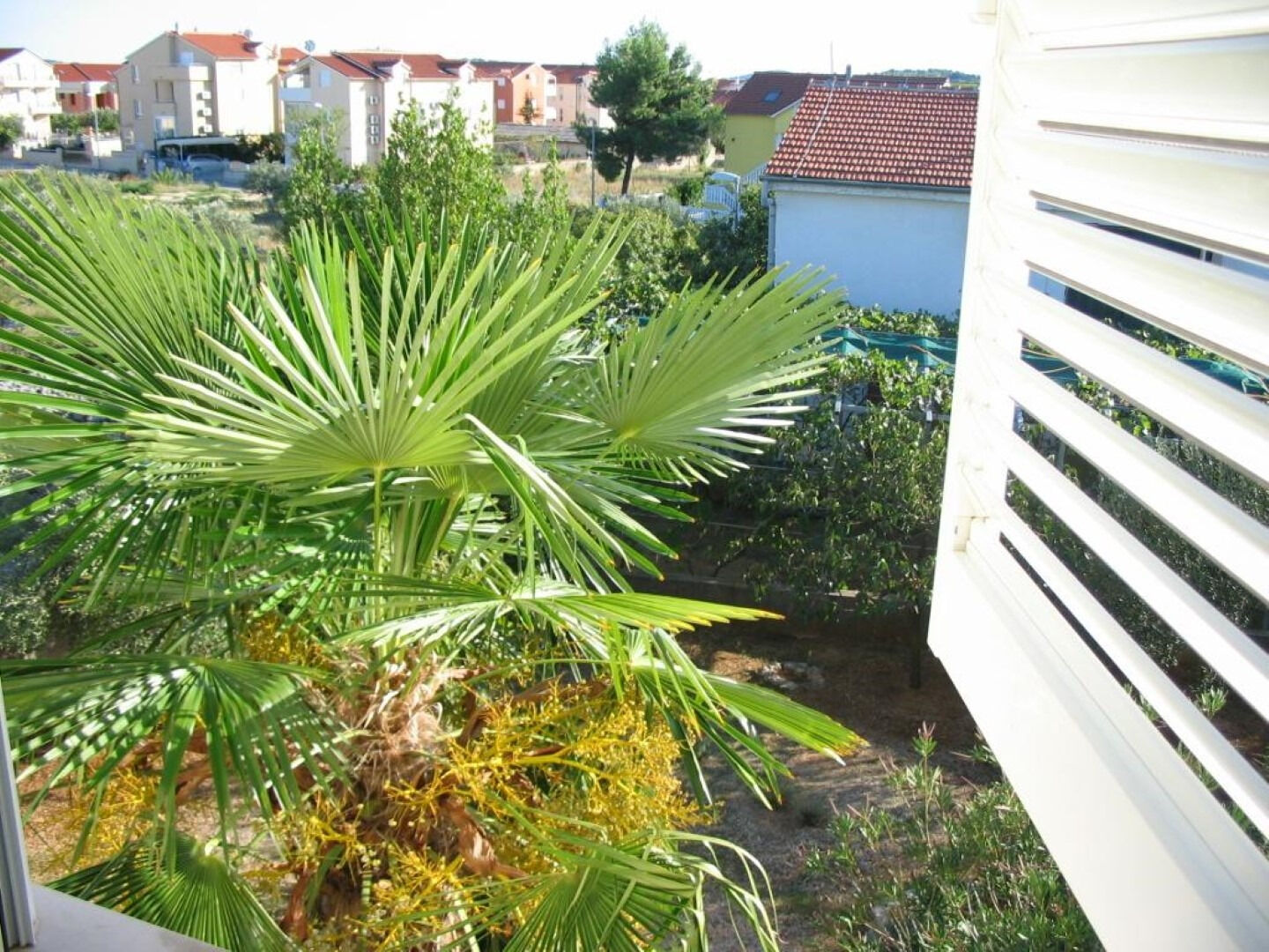 Apartments Josip 111611-A2