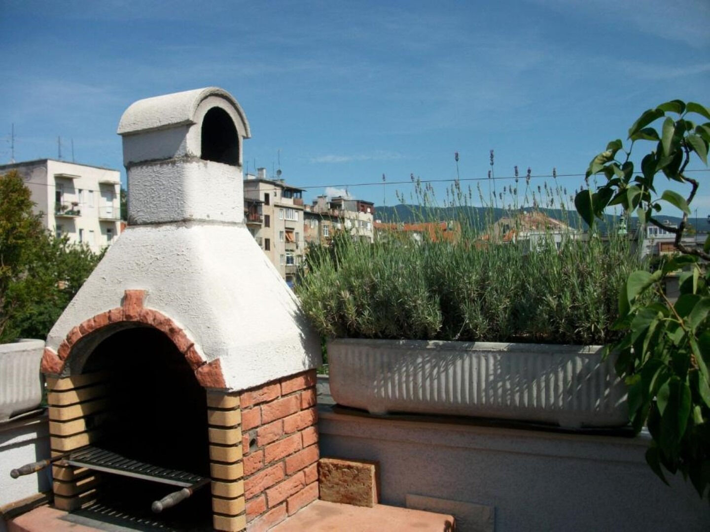 Apartment Ive 111681-A1