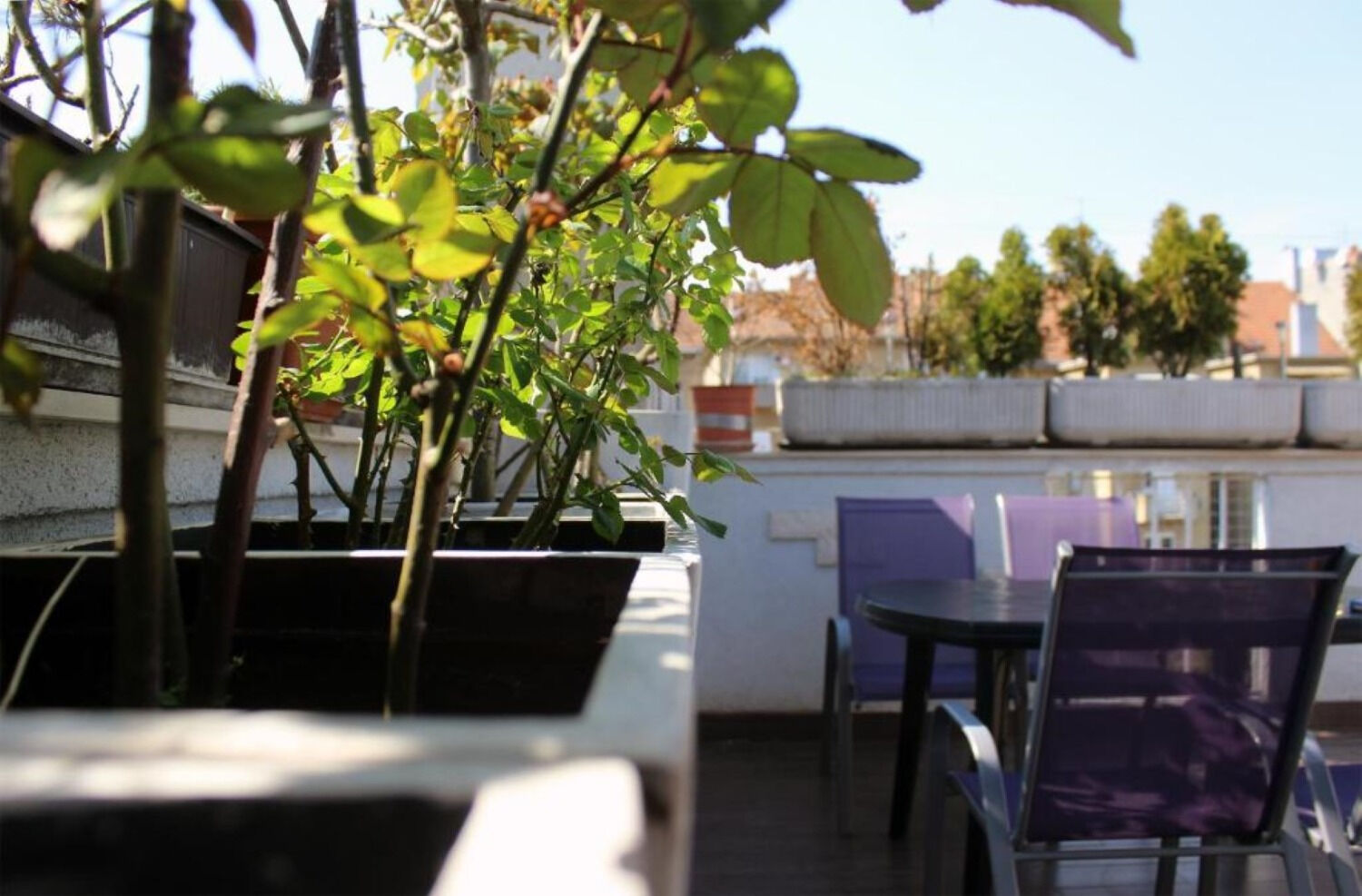 Apartment Ive 111681-A1
