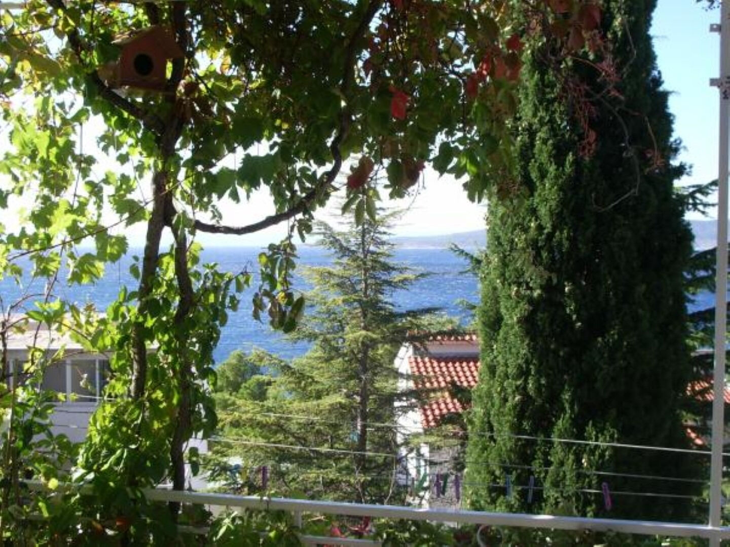 Apartments Josip II 11184-A6
